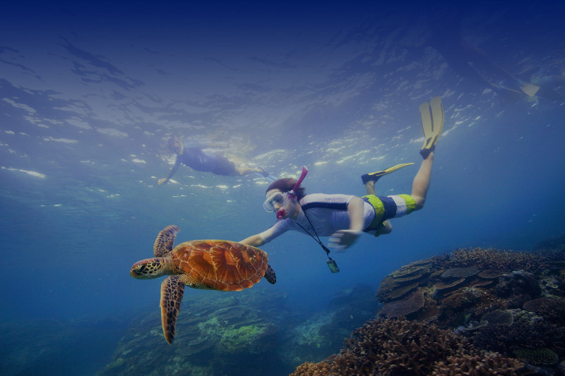 Scuba diving in the islands